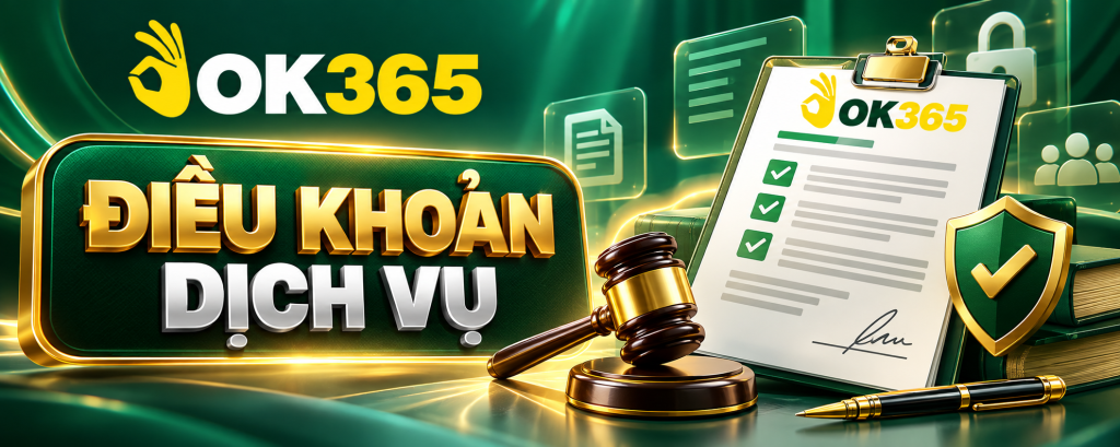 Tổng quan điều khoản dịch vụ OK365
