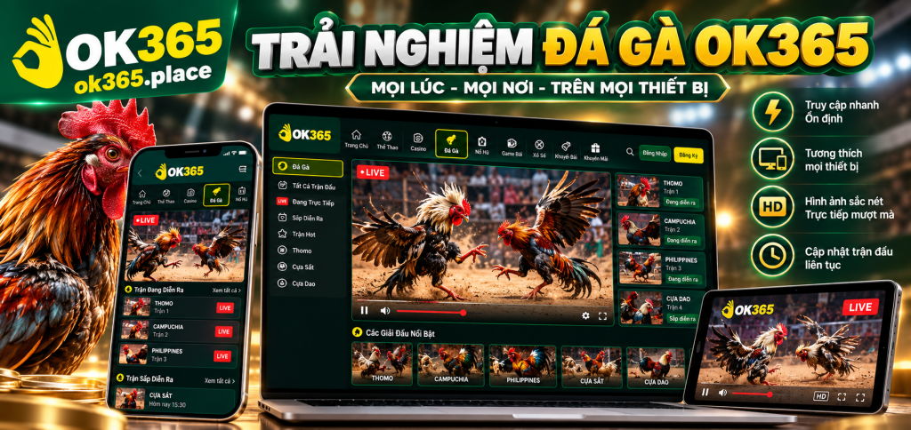 Trải nghiệm Đá Gà OK365 trên điện thoại và máy tính